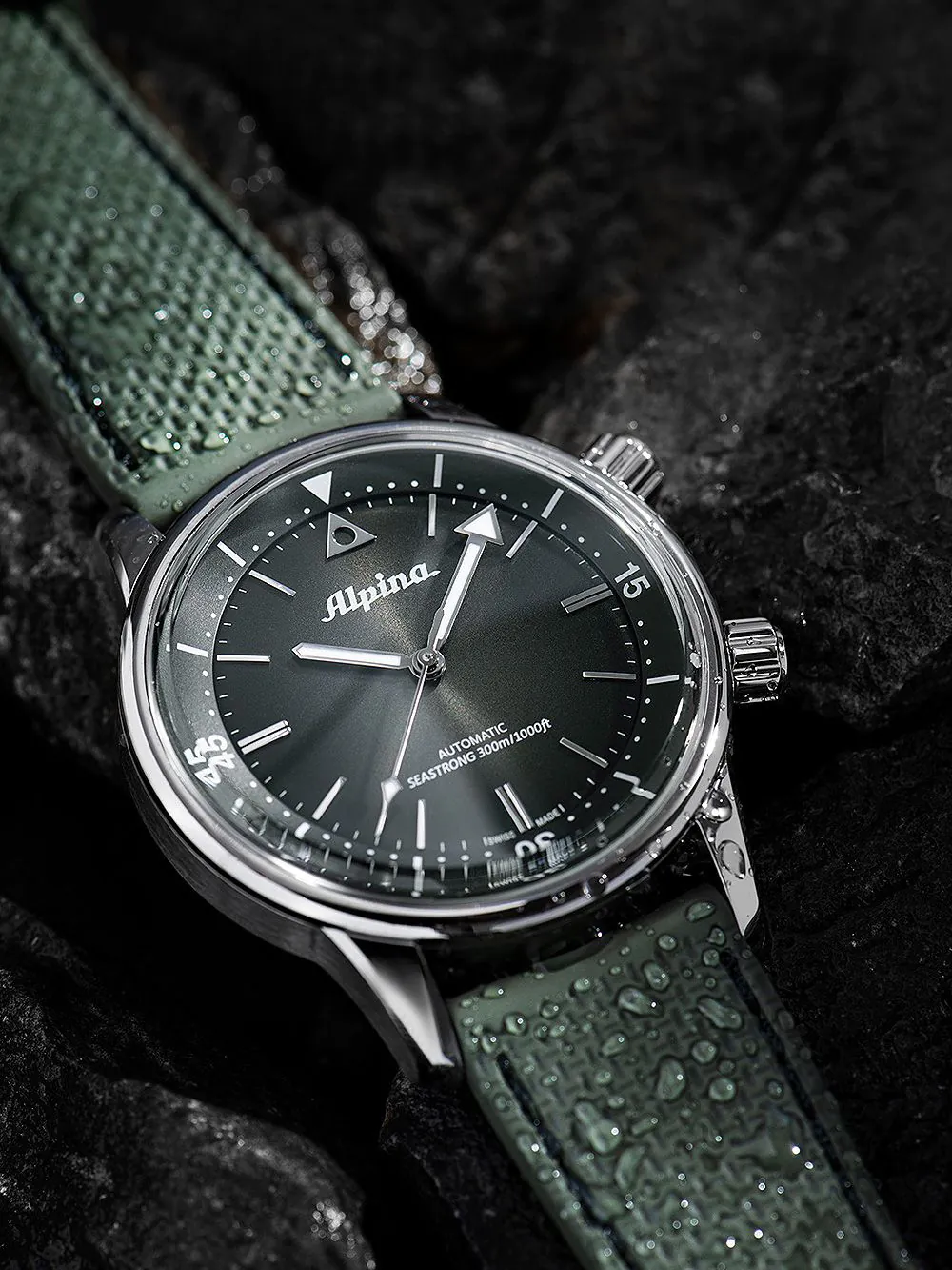 al 520gr4h6 seastrong diver 300 heritage detail 1